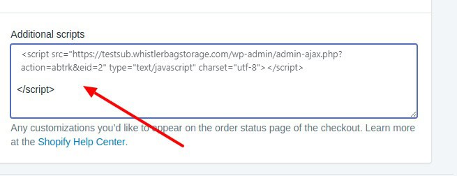 A red arrow points to a piece of JavaScript code in the "Additional scripts" section of a web setting, highlighting a possible script entry.